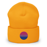 Bisexual Flag Embroidered Circle Beanie: Celebratory LGBTQ+ Pride Design